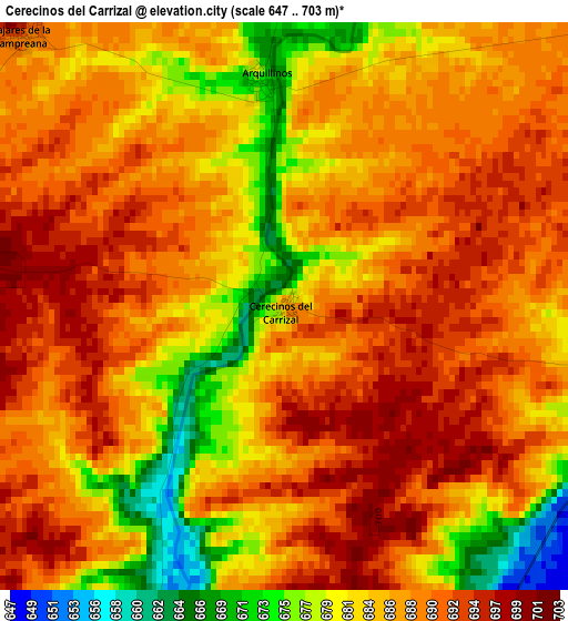 Cerecinos del Carrizal elevation map