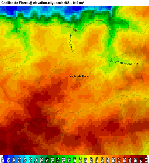 Casillas de Flores elevation map