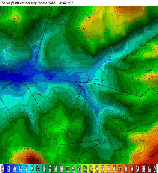 Selva elevation map