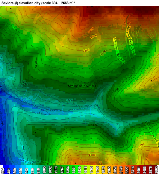 Saviore elevation map