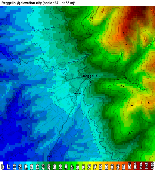 Reggello elevation map