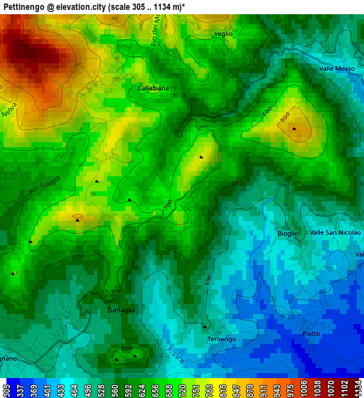 Pettinengo elevation map