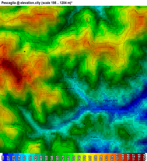 Pescaglia elevation map