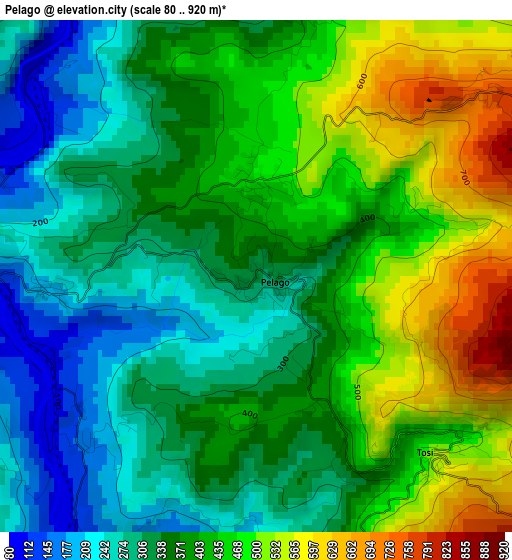 Pelago elevation map