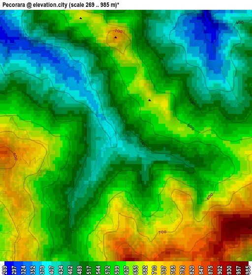 Pecorara elevation map