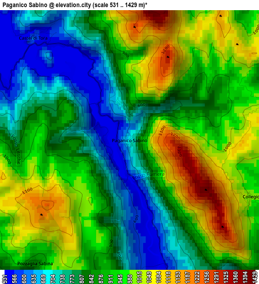 Paganico Sabino elevation map