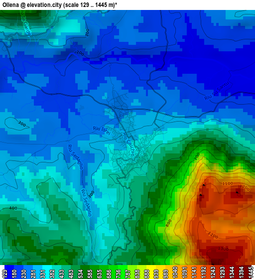 Oliena elevation map