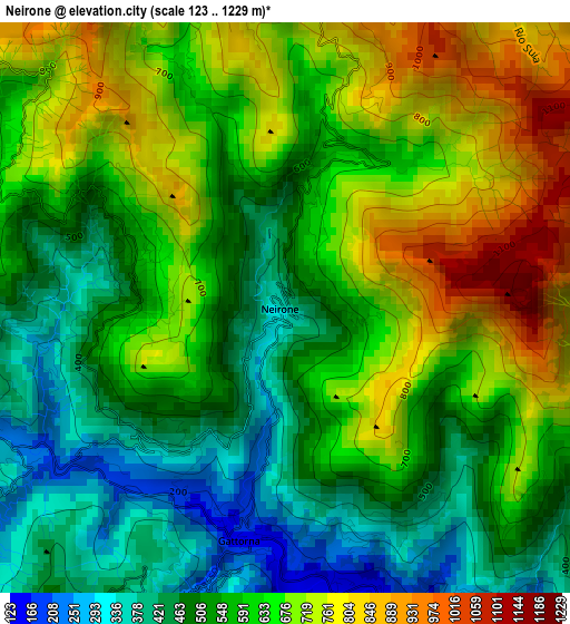 Neirone elevation map