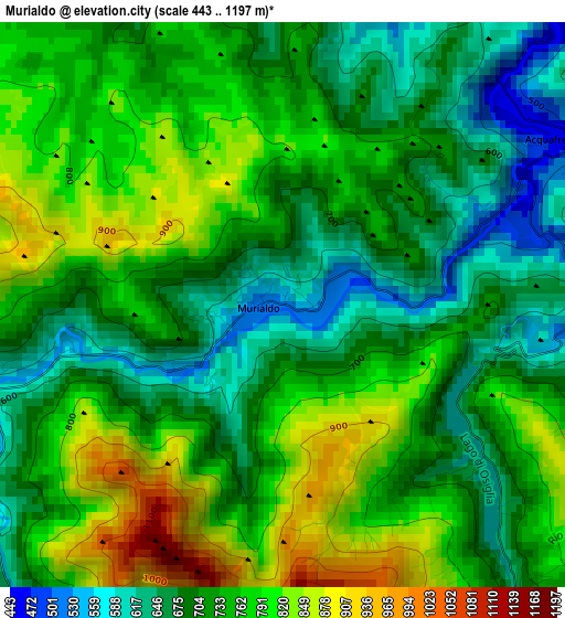 Murialdo elevation map