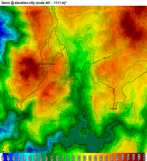 Gavoi elevation map