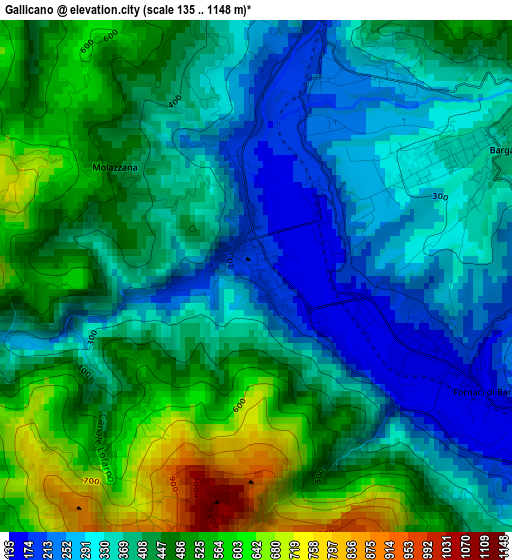 Gallicano elevation map