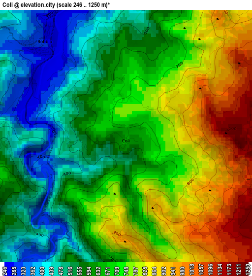 Coli elevation map