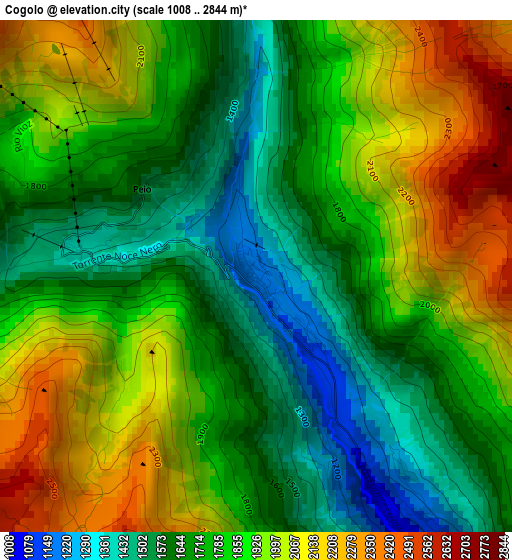 Cogolo elevation map