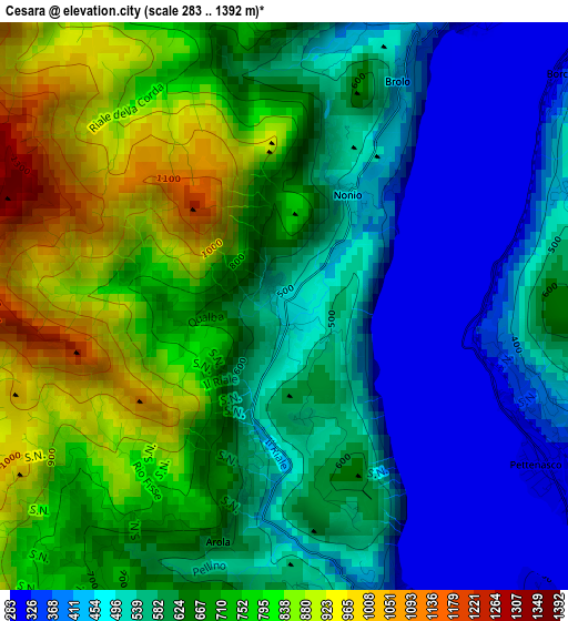 Cesara elevation map