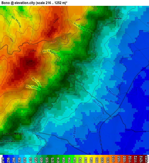 Bono elevation map