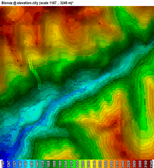 Bionaz elevation map