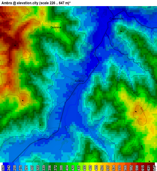 Ambra elevation map