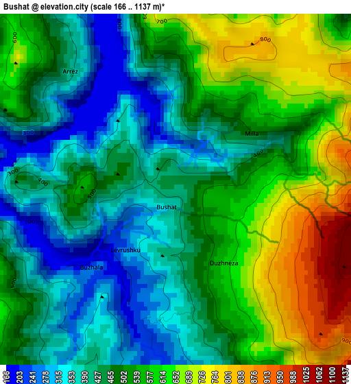 Bushat elevation map