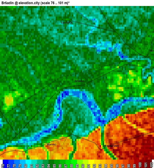 Bršadin elevation map