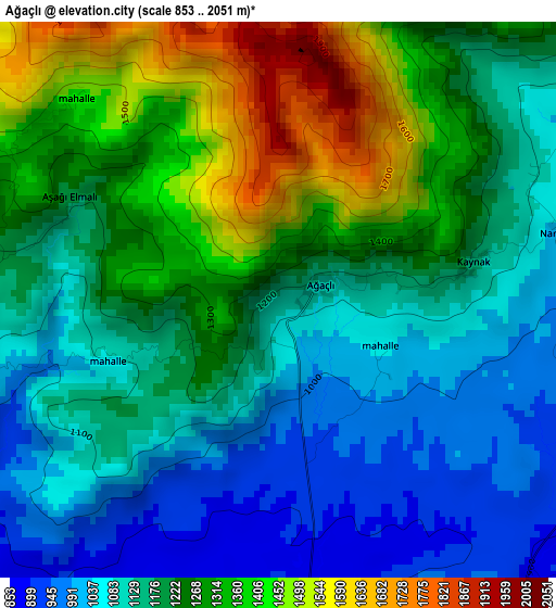 Ağaçlı elevation map