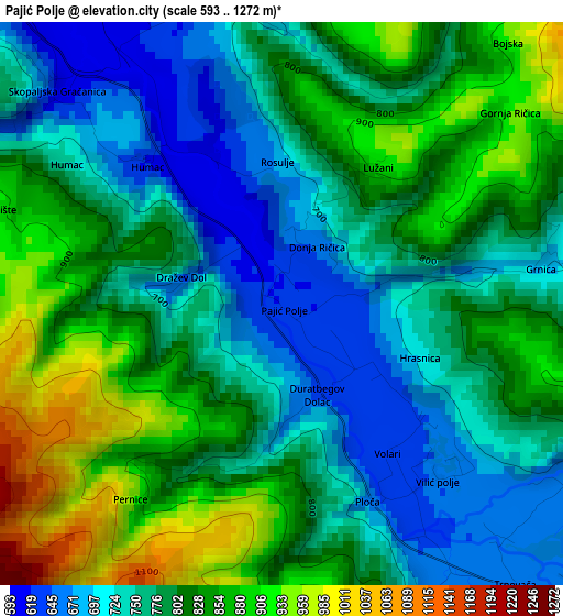 Pajić Polje elevation map