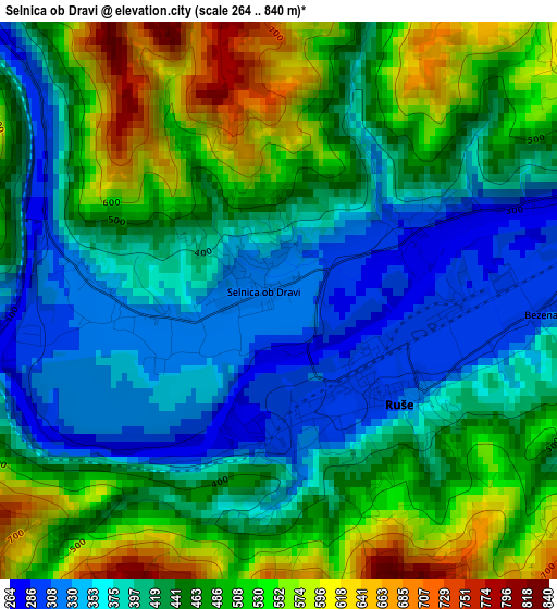 Selnica ob Dravi elevation map