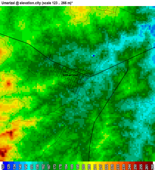 Umarizal elevation map