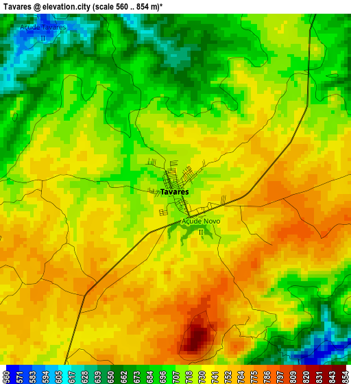 Tavares elevation map