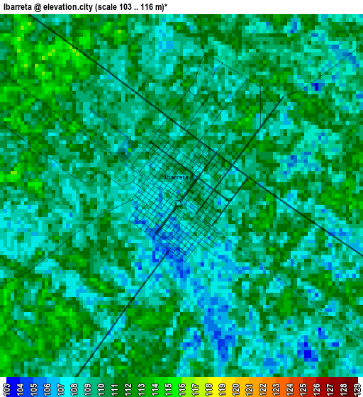 Ibarreta elevation map