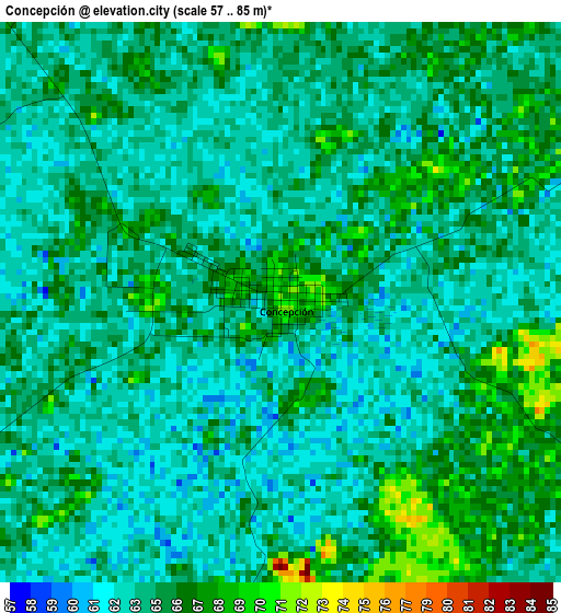 Concepción elevation map