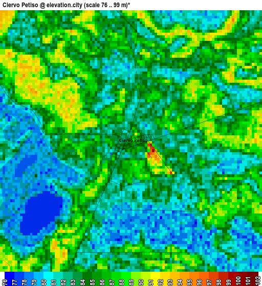Ciervo Petiso elevation map