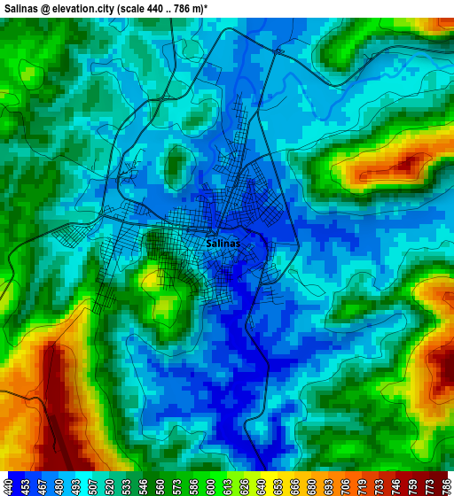 Salinas elevation map