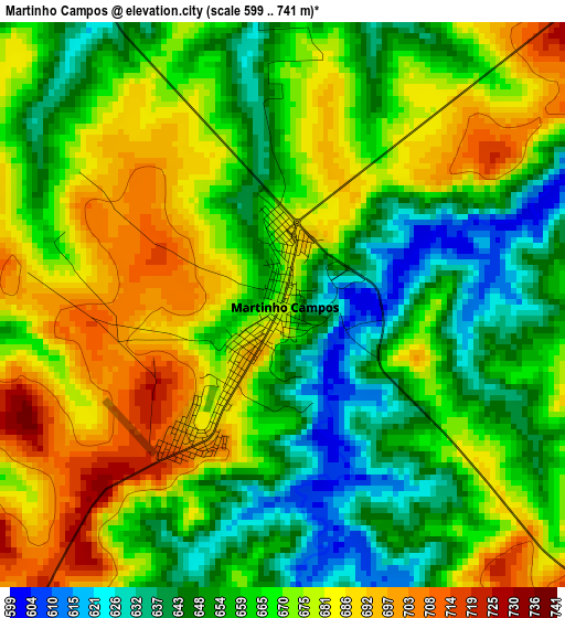 Martinho Campos elevation map