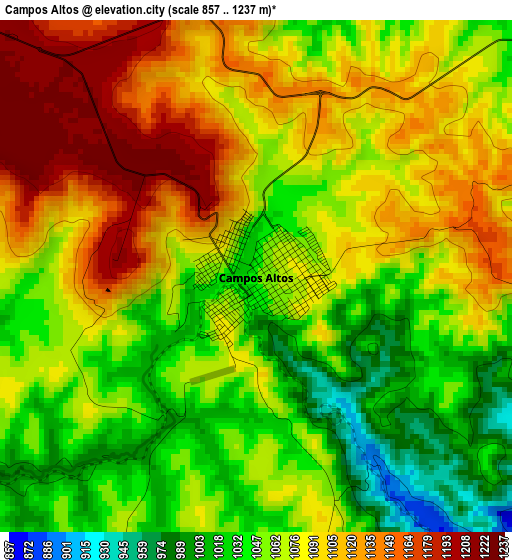 Campos Altos elevation map