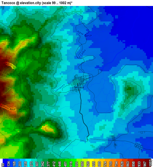 Tancoco elevation map