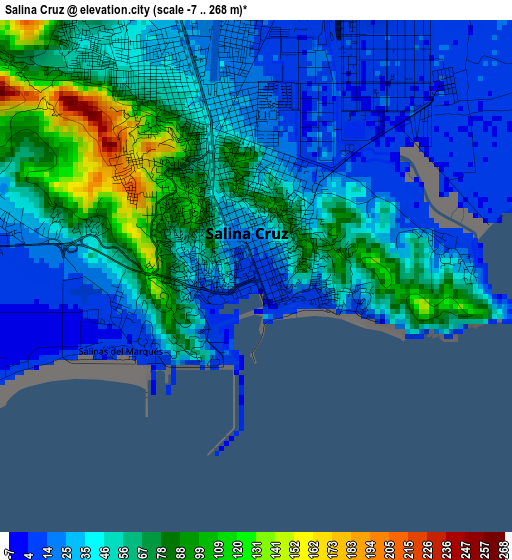 Salina Cruz elevation map