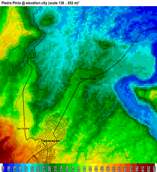 Piedra Pinta elevation map