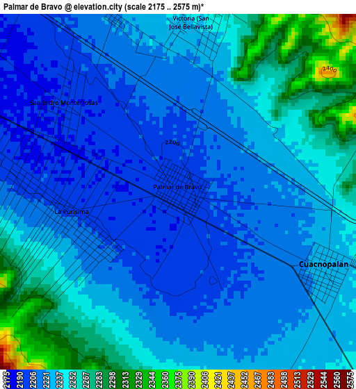 Palmar de Bravo elevation map