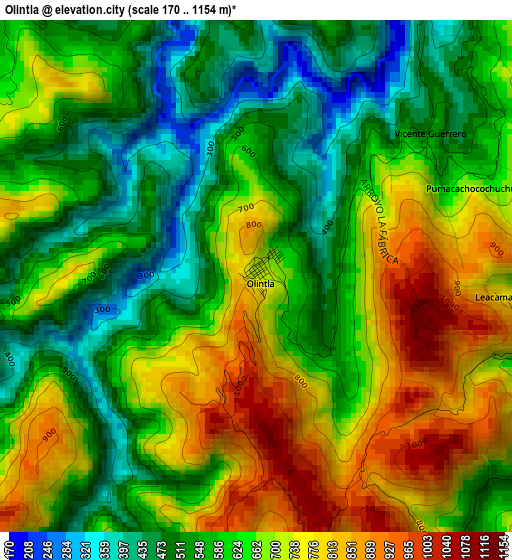 Olintla elevation map