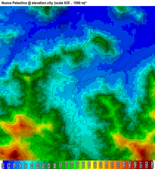 Nueva Palestina elevation map