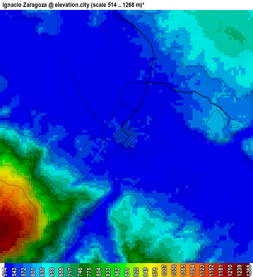 Ignacio Zaragoza elevation map