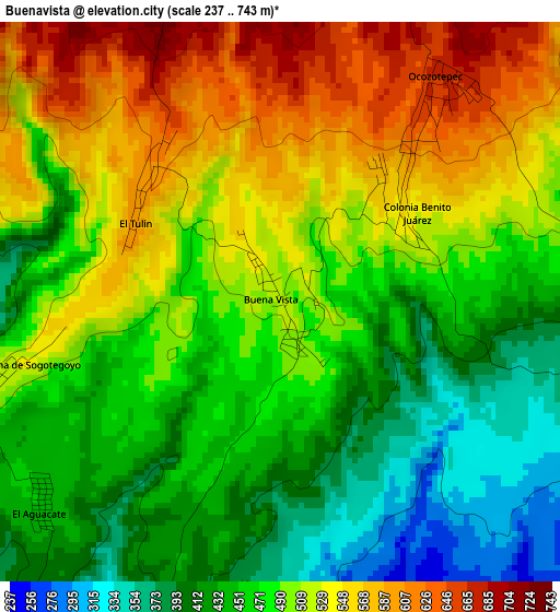 Buenavista elevation map