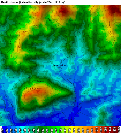 Benito Juárez elevation map