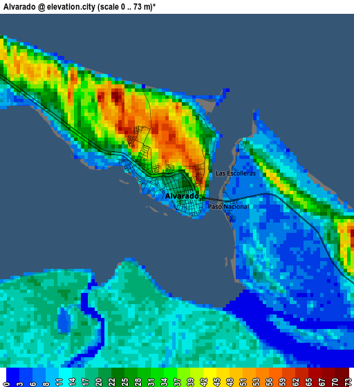 Alvarado elevation map