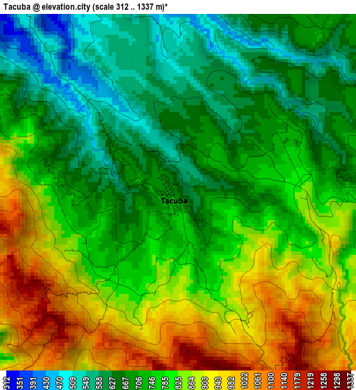 Tacuba elevation map