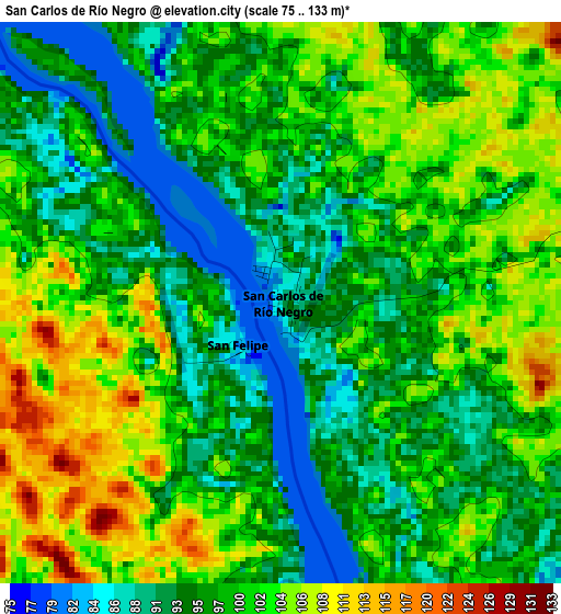 San Carlos de Río Negro elevation map