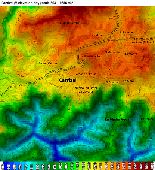 Carrizal elevation map