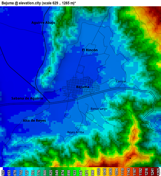 Bejuma elevation map