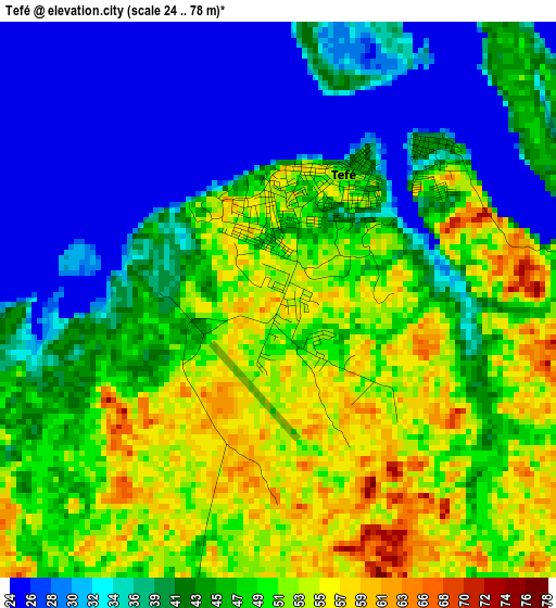 Tefé elevation map