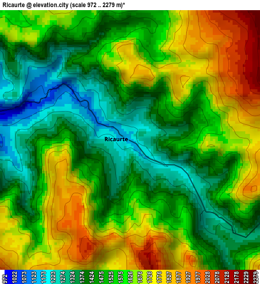 Ricaurte elevation map